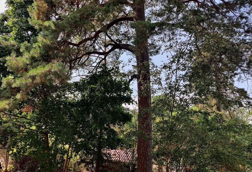 스탠다드 룸, Best Western Hotel Danderyd