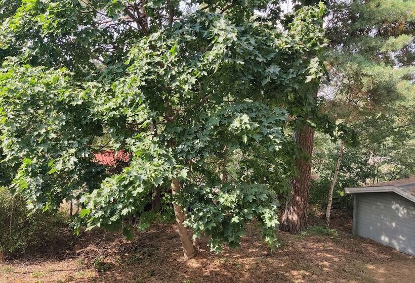 패밀리 룸, Best Western Hotel Danderyd