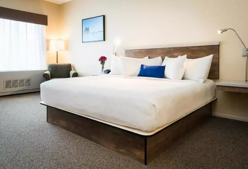 キングサイズベッドのスタンダードルーム, Harbor 360 Hotel Seward