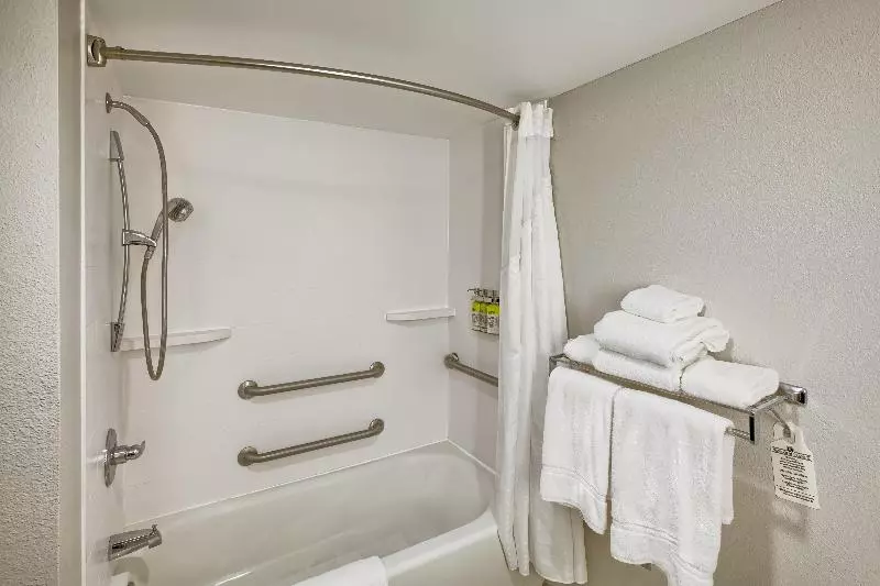 キングサイズベッドのスタンダードルーム, Holiday Inn Express Hotel & Suites Raleigh North Wake Forest, An Ihg