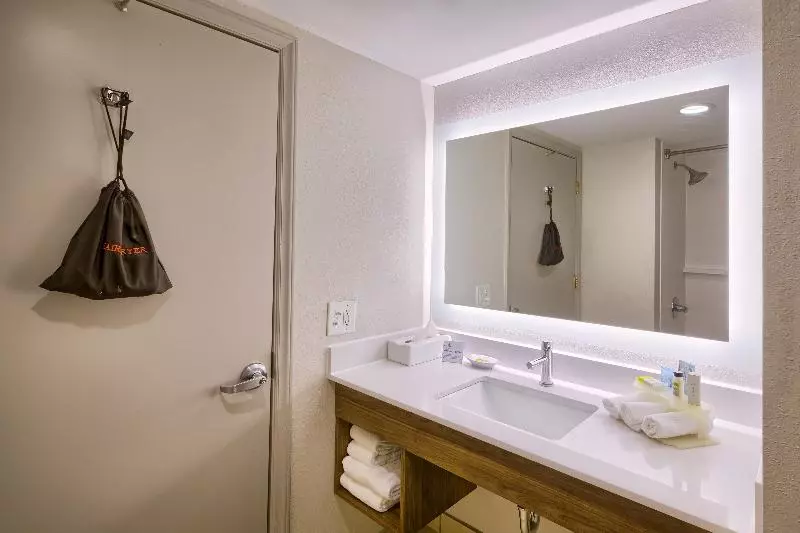 キングサイズベッドのスタンダードルーム, Holiday Inn Express Hotel & Suites Raleigh North Wake Forest, An Ihg