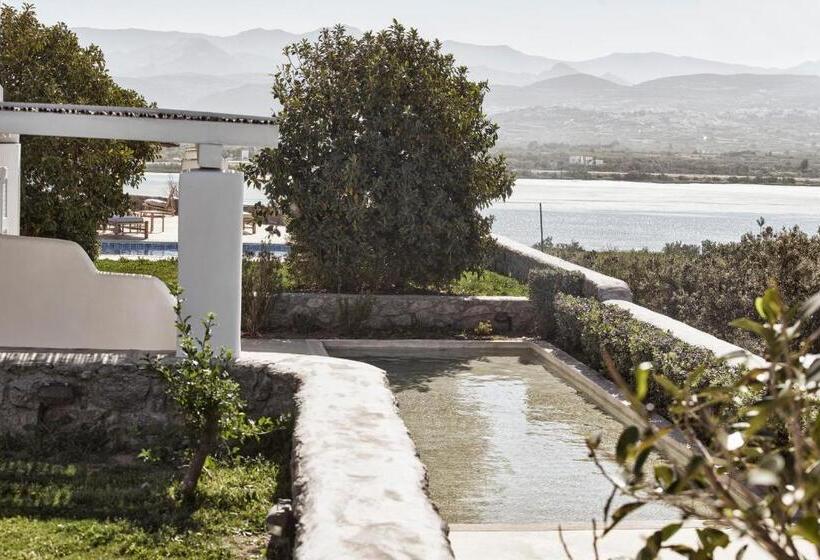 جناح بريميوم, Naxian Collection