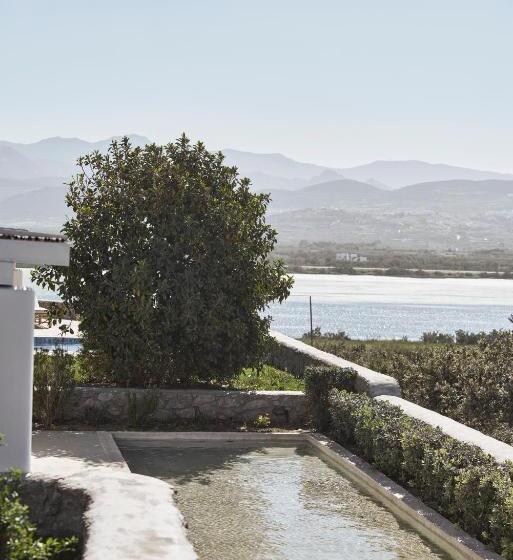 جناح, Naxian Collection