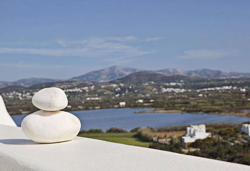 جناح بريميوم, Naxian Collection