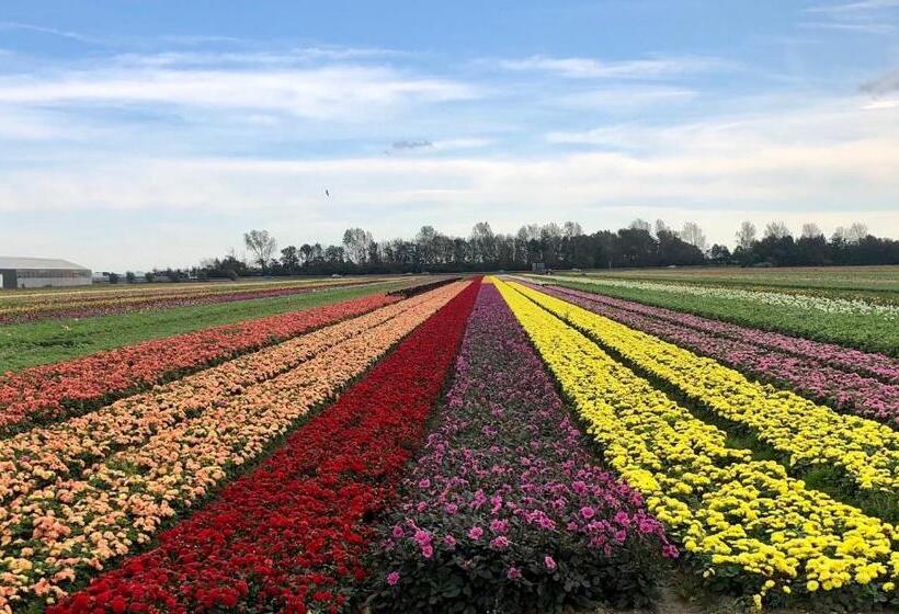 غرفة ديلوكس, B&b De Cley