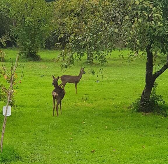 キングサイズベッドのスタンダードルーム, Domaine Mon Doux Rêve