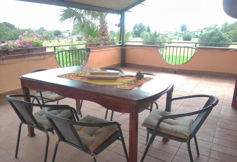 Номер Стандарт с Террасой, Nerium House Relax