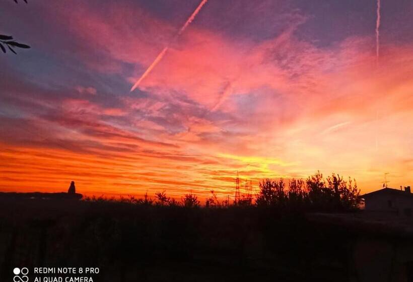 اتاق سوپریور, Le Zampolle B & B