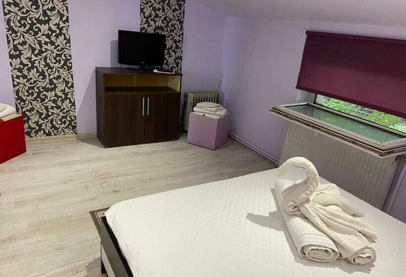 标准工作室, Pensiunea Exotic