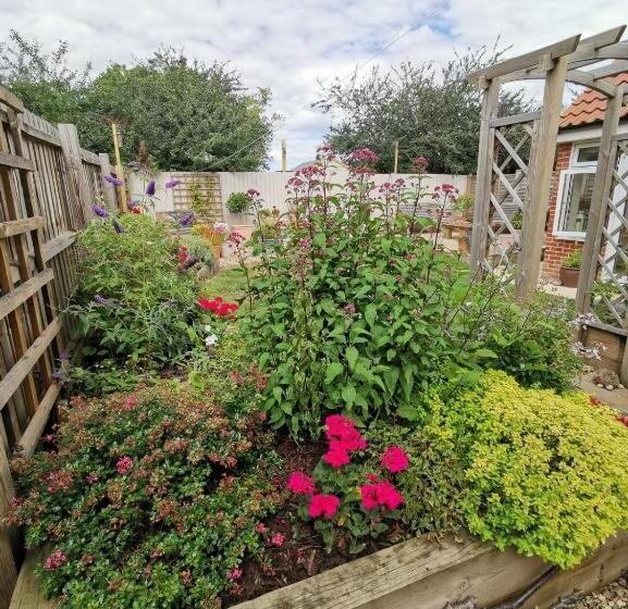 디럭스 룸, The Garden Room