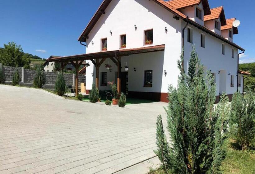 סטודיו משפחתי, Vilafrancisca10