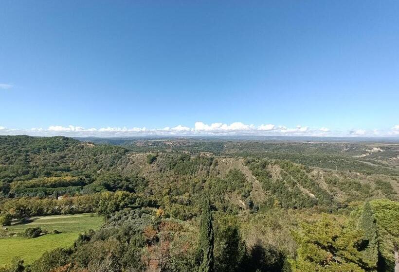 דירת שלושה חדרים, B&b Il Grifo