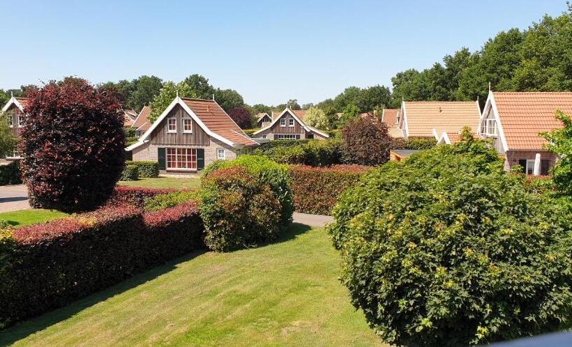 キングサイズベッドのスタンダードルーム, Bglv