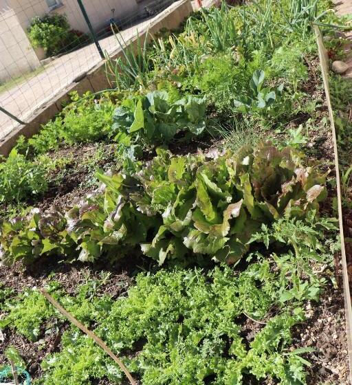 スイート, Chambres D Hôtes Du Capimont