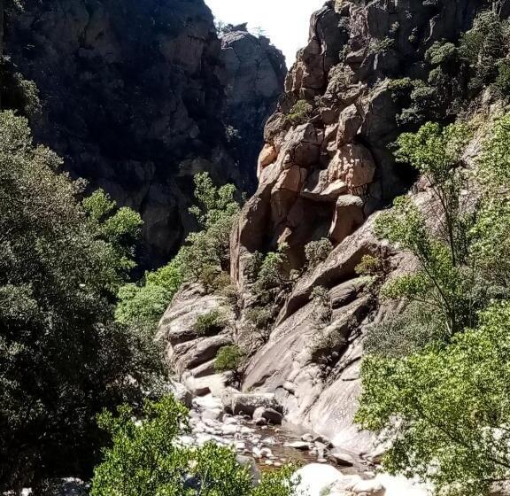 スイート, Chambres D Hôtes Du Capimont