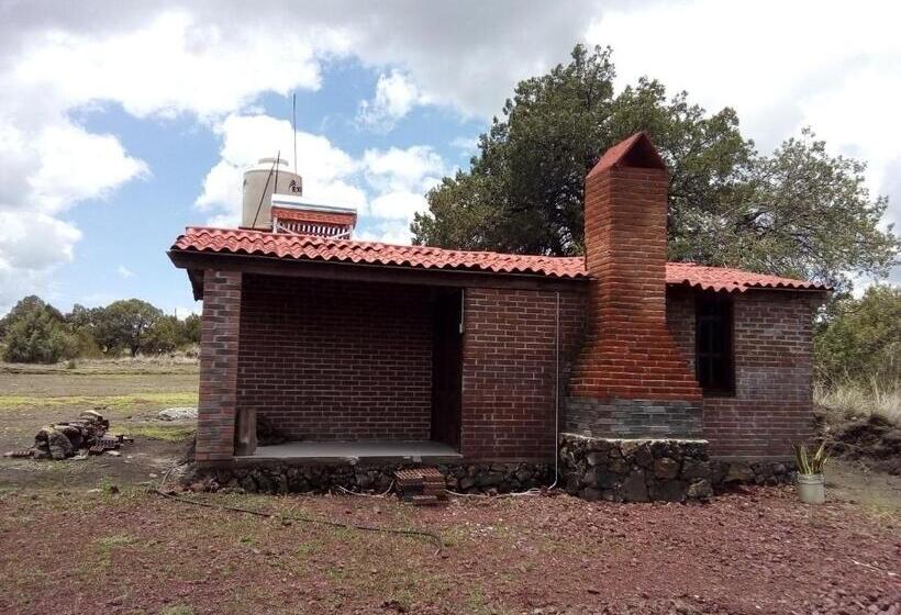 标准三人间, Cabañas Tlaxco La Loma