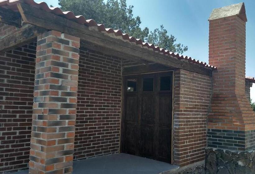 غرفة قياسية ثلاثية, Cabañas Tlaxco La Loma