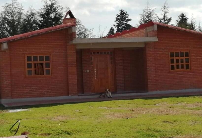 منزل غرفتين نوم, Cabañas Tlaxco La Loma