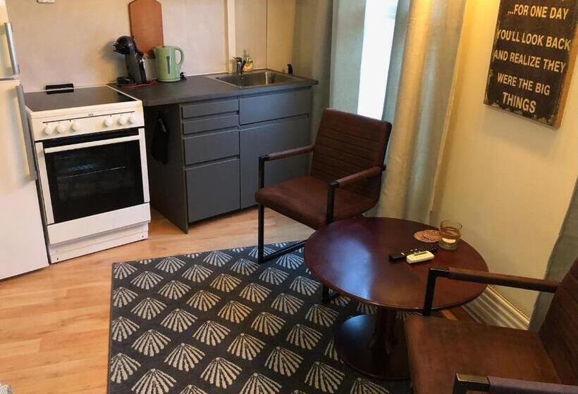 اتاق استاندارد با سرویس بهداشتی مشترک, Larvik Pensjonat