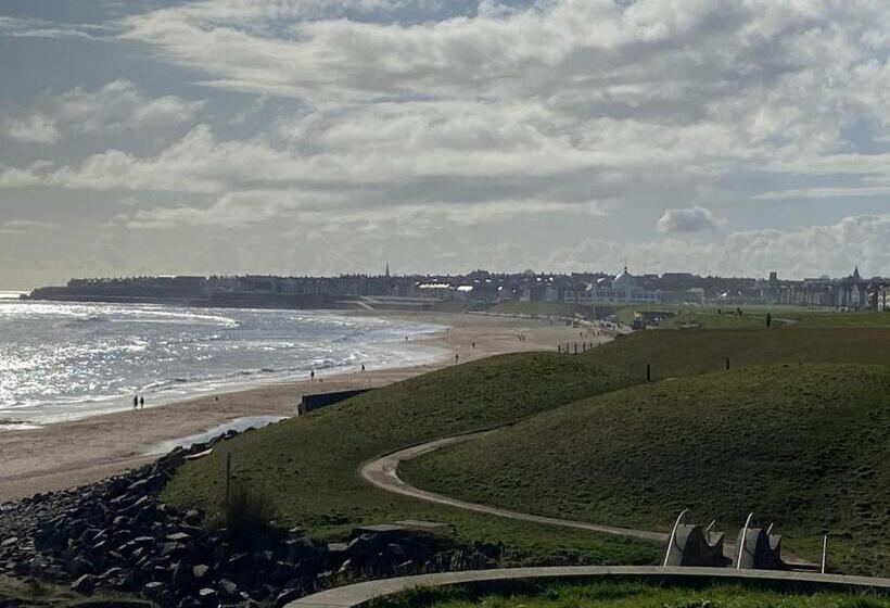 סטודיו משפחתי, Stay Coastal