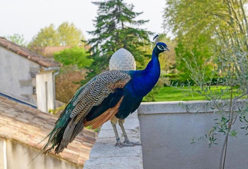 Cameră Standard, Bastide De Bellegarde