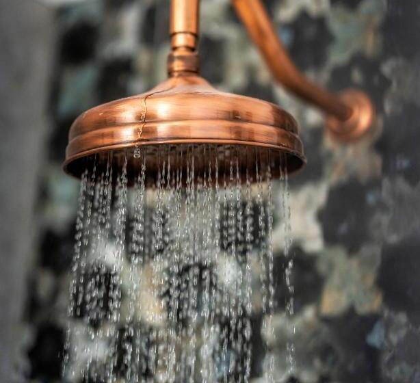 חדר סטנדרט, Villa Viktória