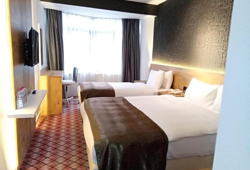 غرفة قياسية, Eskoppremium Otel