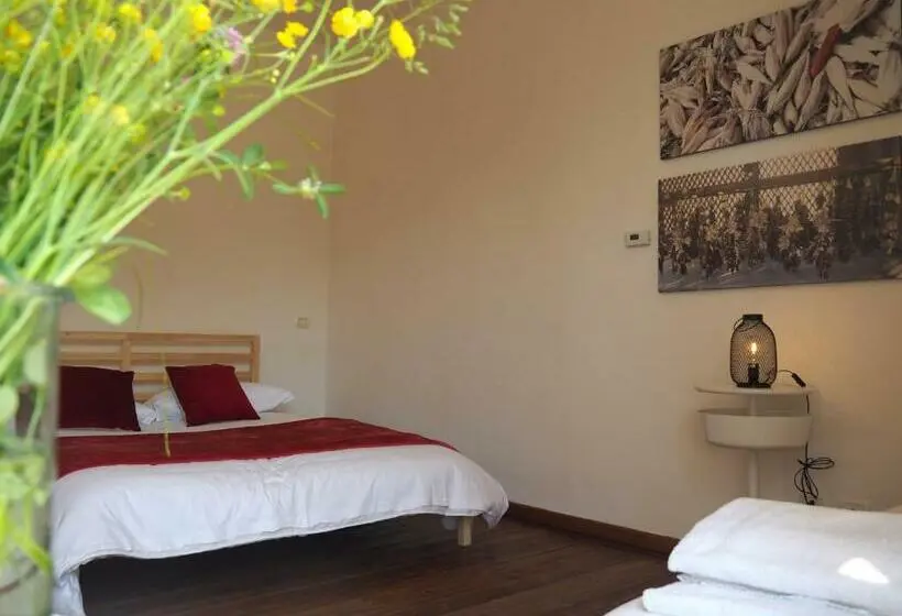 اتاق استاندارد چهار تخته, Open Cascina