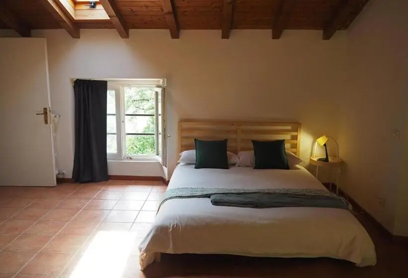 اتاق استاندارد چهار تخته, Open Cascina