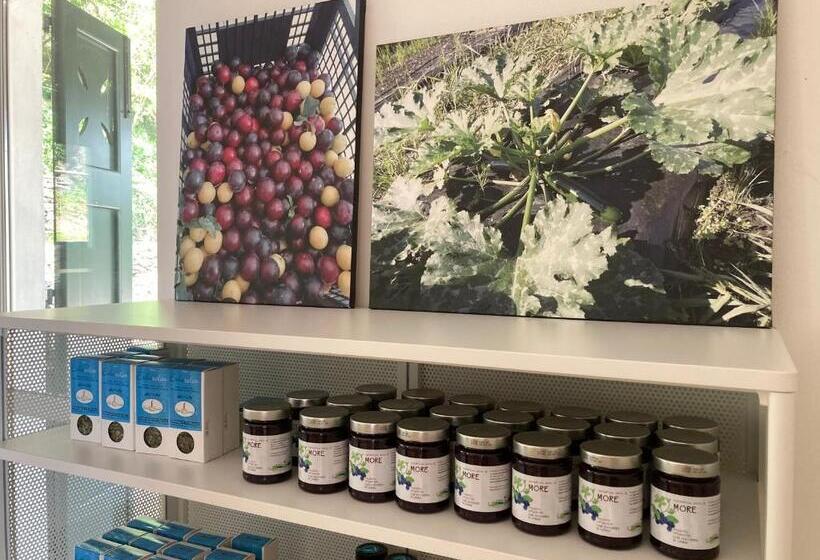 빌라 침실 1개, Open Cascina