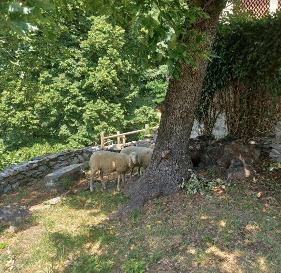 빌라 침실 1개, Open Cascina