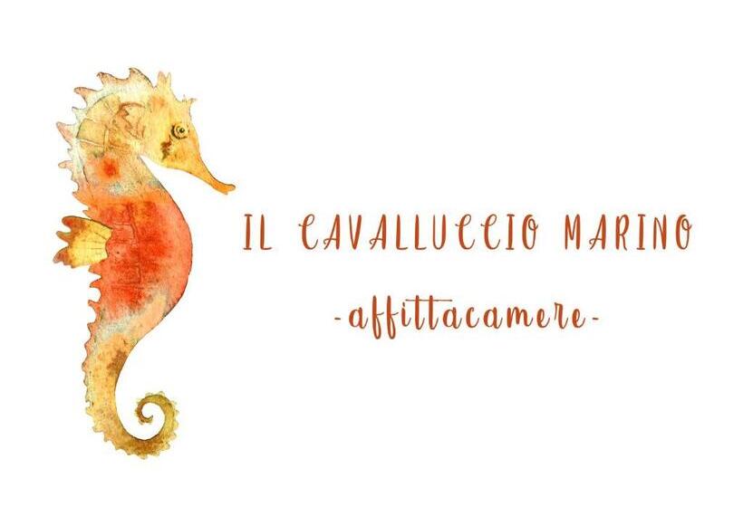 اتاق استاندارد با تراس, Il Cavalluccio Marino
