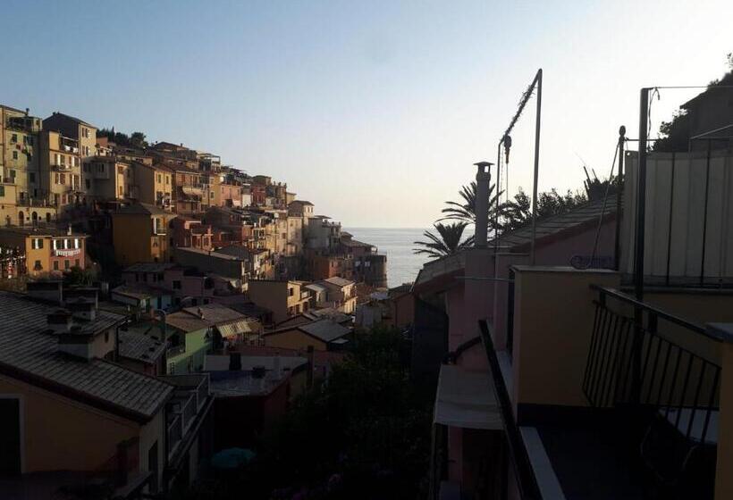 اتاق استاندارد با تراس, Il Cavalluccio Marino