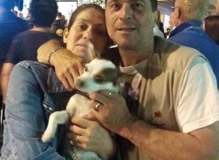 اتاق استاندارد, La Cesarina