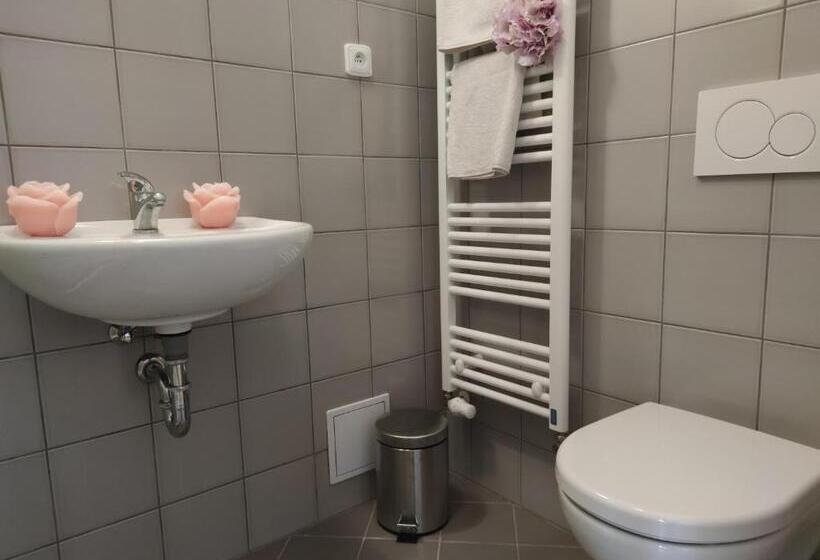 חדר דלוקס, Penzion U Synagogy