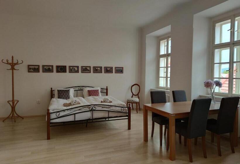 חדר דלוקס, Penzion U Synagogy