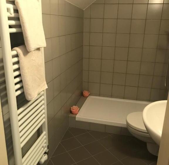 חדר סטנדרט יחיד, Penzion U Synagogy