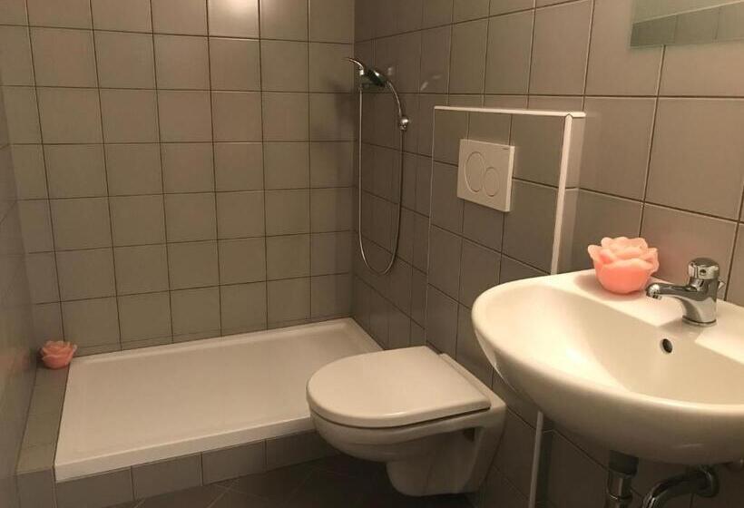 חדר סטנדרט יחיד, Penzion U Synagogy