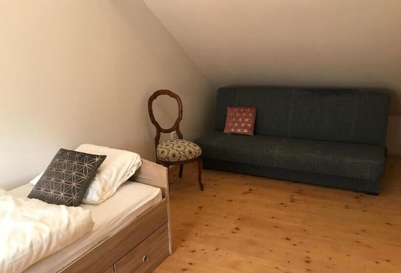 חדר סטנדרט יחיד, Penzion U Synagogy