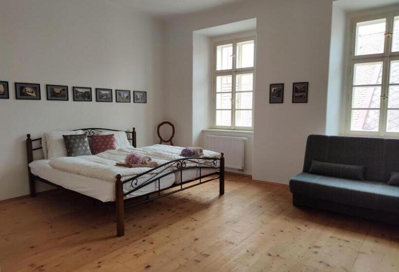 חדר דלוקס לארבעה, Penzion U Synagogy