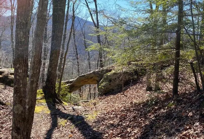 キングサイズベッドのスイートルーム, Pine Mountain Inn
