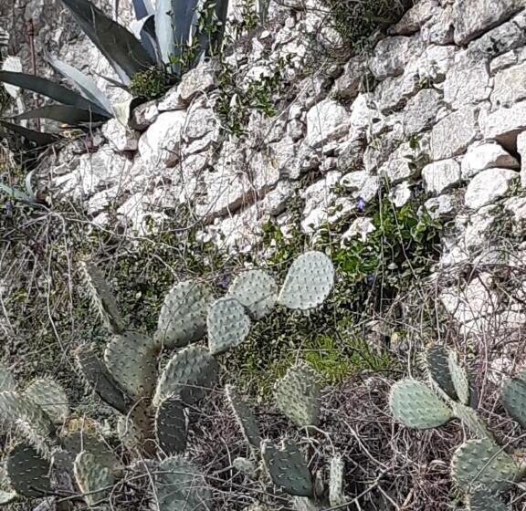 Standard room with outdoor bath, Ty Galis
