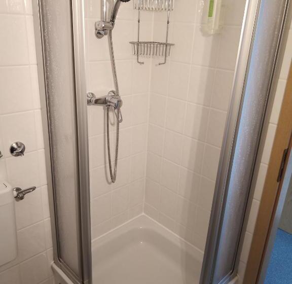 اتاق استاندارد یک نفره, Altstadtpension Brandenburg