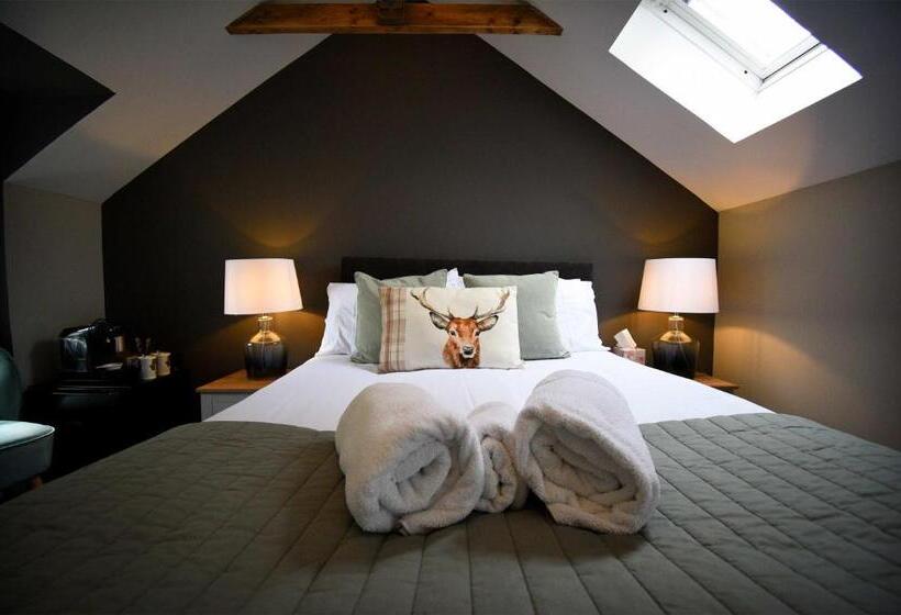 اتاق استاندارد با تخت بزرگ, Rockview