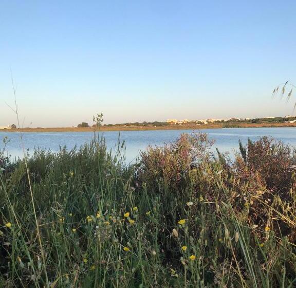 اتاق استاندارد یک نفره, Happen!ng