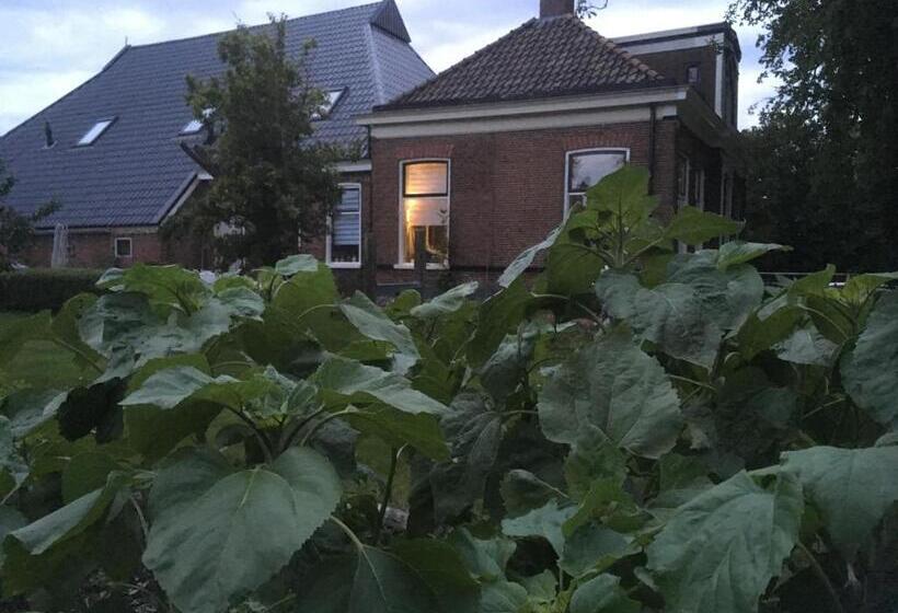 חדר דלוקס, Onder De Boom