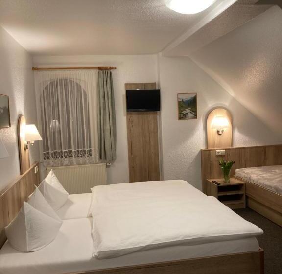 스탠다드 싱글 룸, Pension Haufe