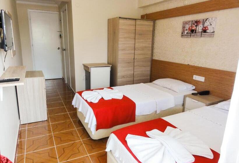 חדר סטנדרט, Altinersan