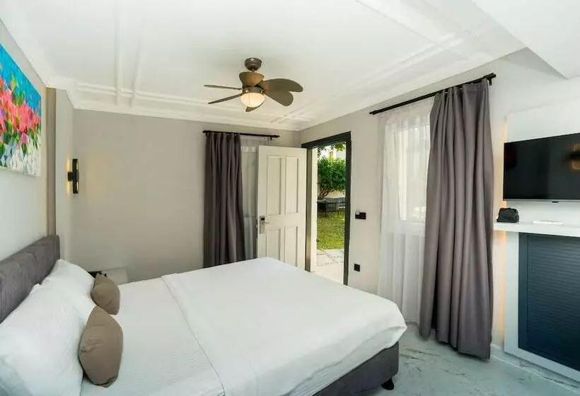 Standard-huone, Art Suites