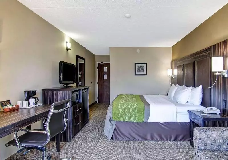اتاق استاندارد, Dorint Hotel Hamburg Eppendorf